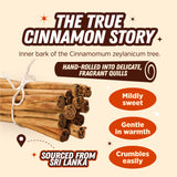 Urban Platter Ceylon Cinnamon Quills, 100g (True Cinnamon | Origin of Sri Lanka )