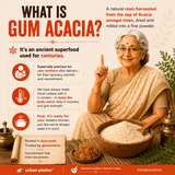 Gum Acacia Powder, 200g (Dink, Gond, Gunder)