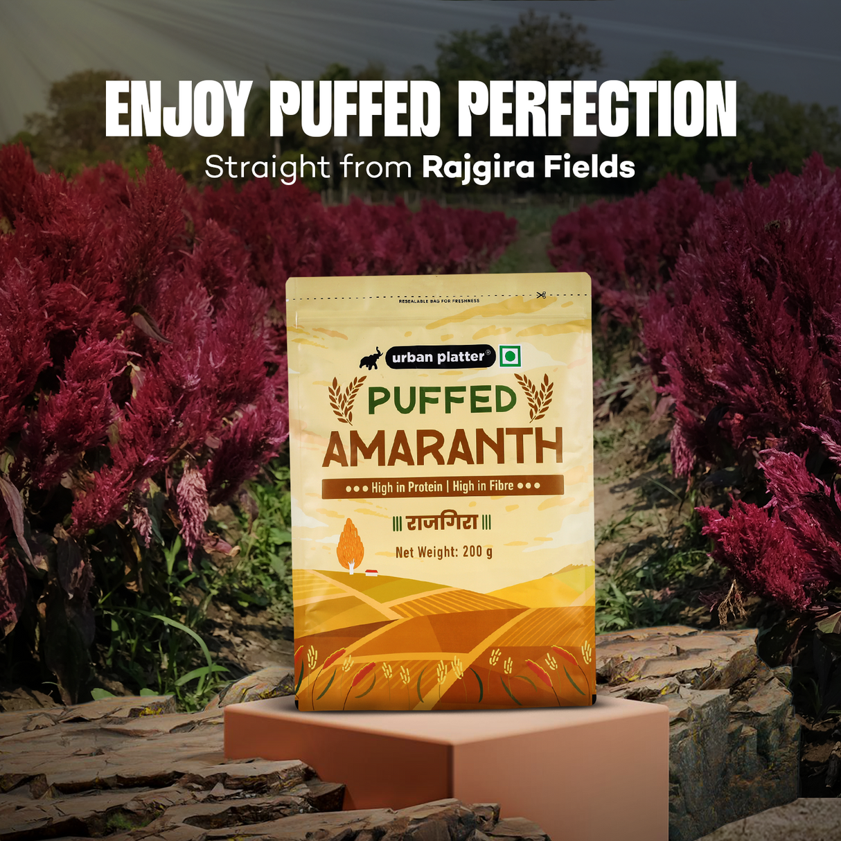 Urban Platter Puffed Amaranth, (Rajgira | High in Protein & Fibre | Healthy Puffed Snack | Gluten-Free)