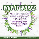 Urban Platter Herbs de Provence Seasoning, 40g (French-inspired, Jain-Friendly, Mesmerising blend of signature herbs)