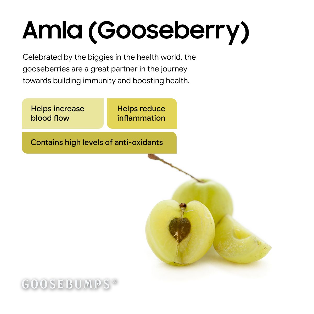 Goosebumps Masala Amla | Dried Gooseberry | Dehydrated Fruit | Chatpata Honey Amla Healthy Snack for Kids and Adults | 150 GMS