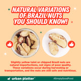 Urban Platter Brazil Nuts, 120g (Monthly Consumption Pack, Rich In Selenium, Have 1 Daily, 30 single serve brazil nut sachets)