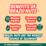 Urban Platter Brazil Nuts, 120g (Monthly Consumption Pack, Rich In Selenium, Have 1 Daily, 30 single serve brazil nut sachets)