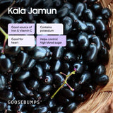 Goosebumps Masala Kala Jamun | Indian BlackBerry | Dehydrated Fruit | Dried Jamun Strips | Chatpata Dried Fruits Healthy Snack for Kids and Adults | 150 GMS