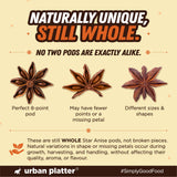 Star Anise, 100g (Chakri Phool | Warm, Licorice like Flavour | Highly Aromatic Spice used in Biryanis, Broths, Asian Cuisine & Baking)