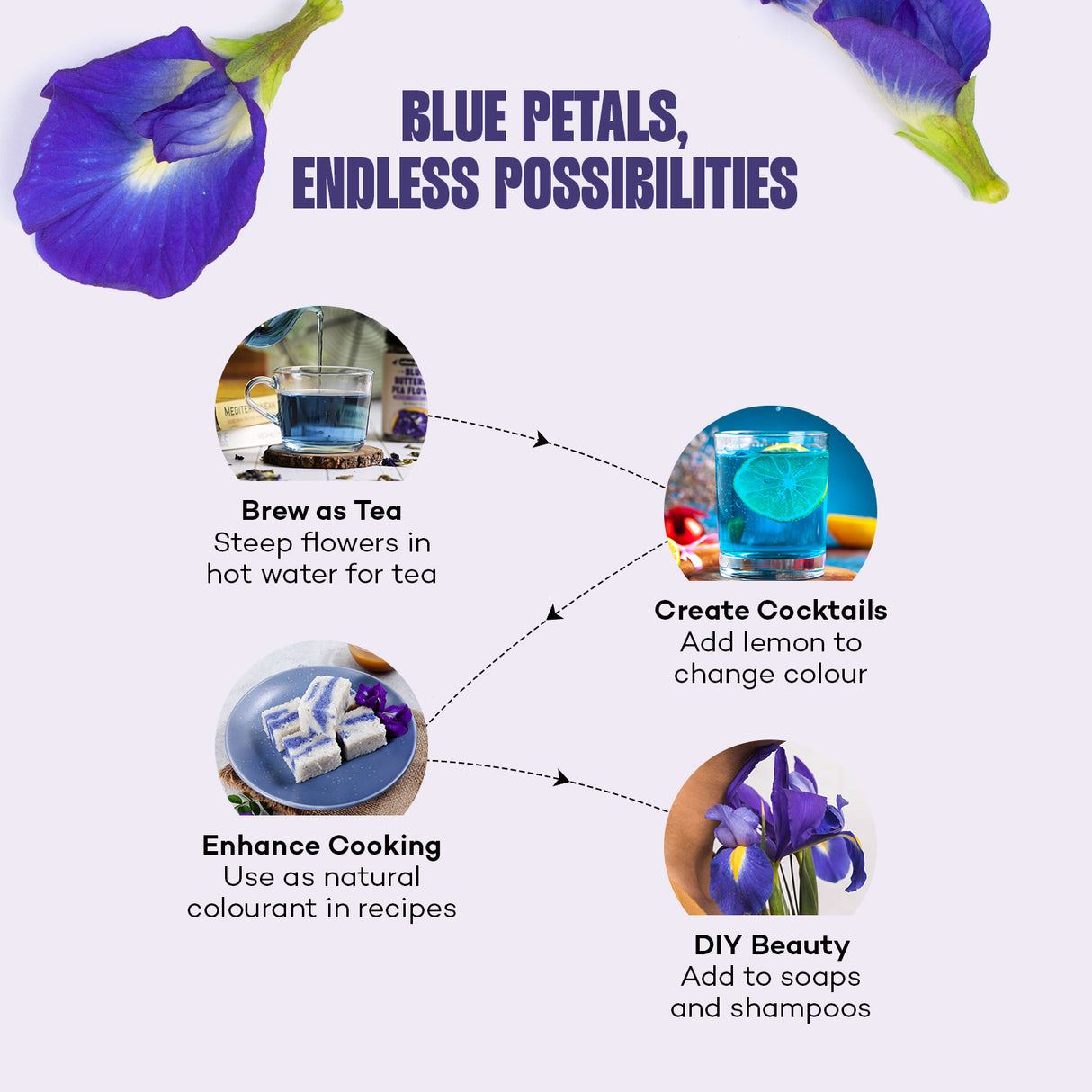 Urban Platter Blue Butterfly Pea Flower Tea (Rich in Antioxidants | Add to teas & cocktails | Natural Colourant)