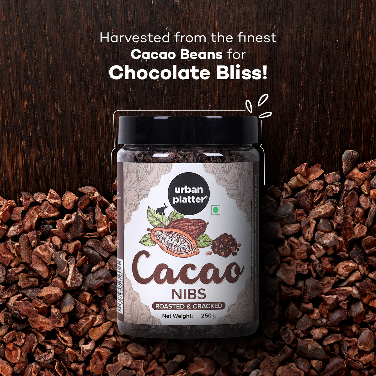 Urban Platter Cacoa Nibs, 250g (Roasted & Cracked | Unsweetened | Pure Cacao Bean Bits | Aromatic)