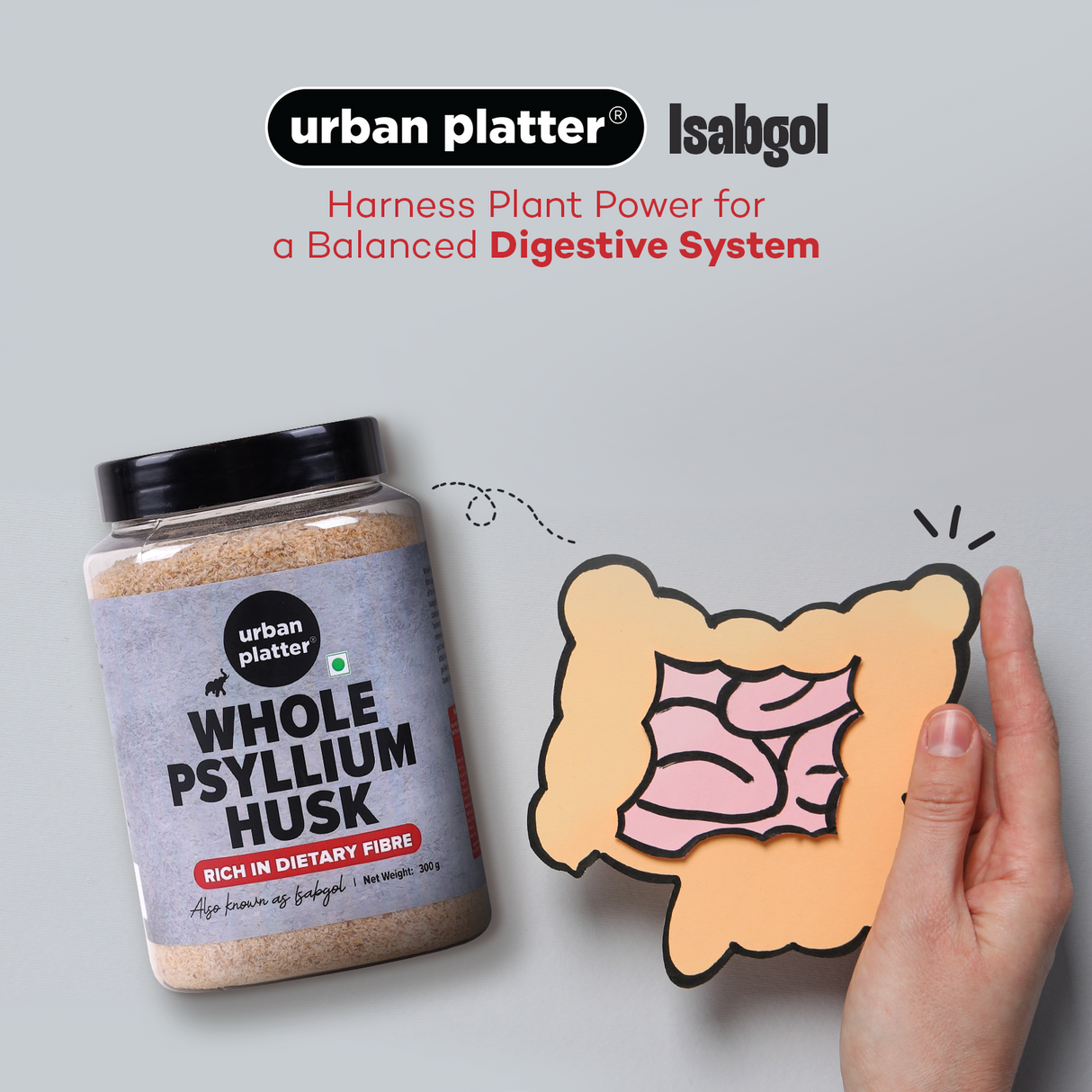 Urban Platter Purgative Whole Husk of Psyllium, 300g [Sat Isabgol]