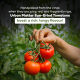 Urban Platter Sun-Dried Tomato in Extra Virgin Olive Oil, 230g