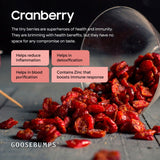 Goosebumps Masala Cranberry | Dried Cranberry | Chatpata Cranberry Healthy Snack for Kids and Adults | 150 GMS