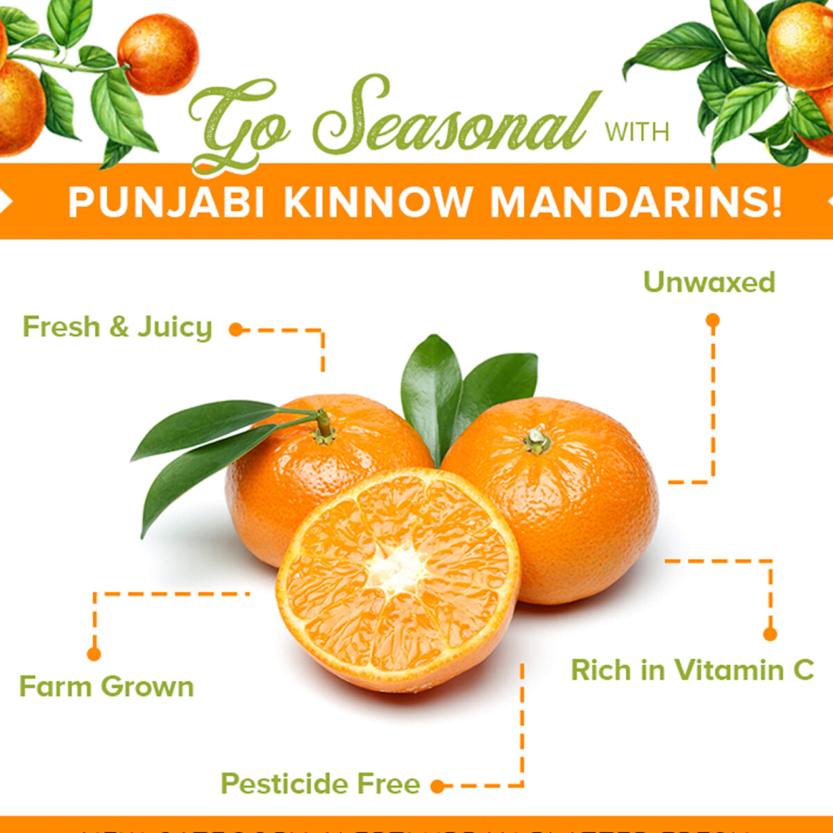 Urban Platter Certified Organic Fresh Kinnow Orange, 6 Units (Approx. 1kg)