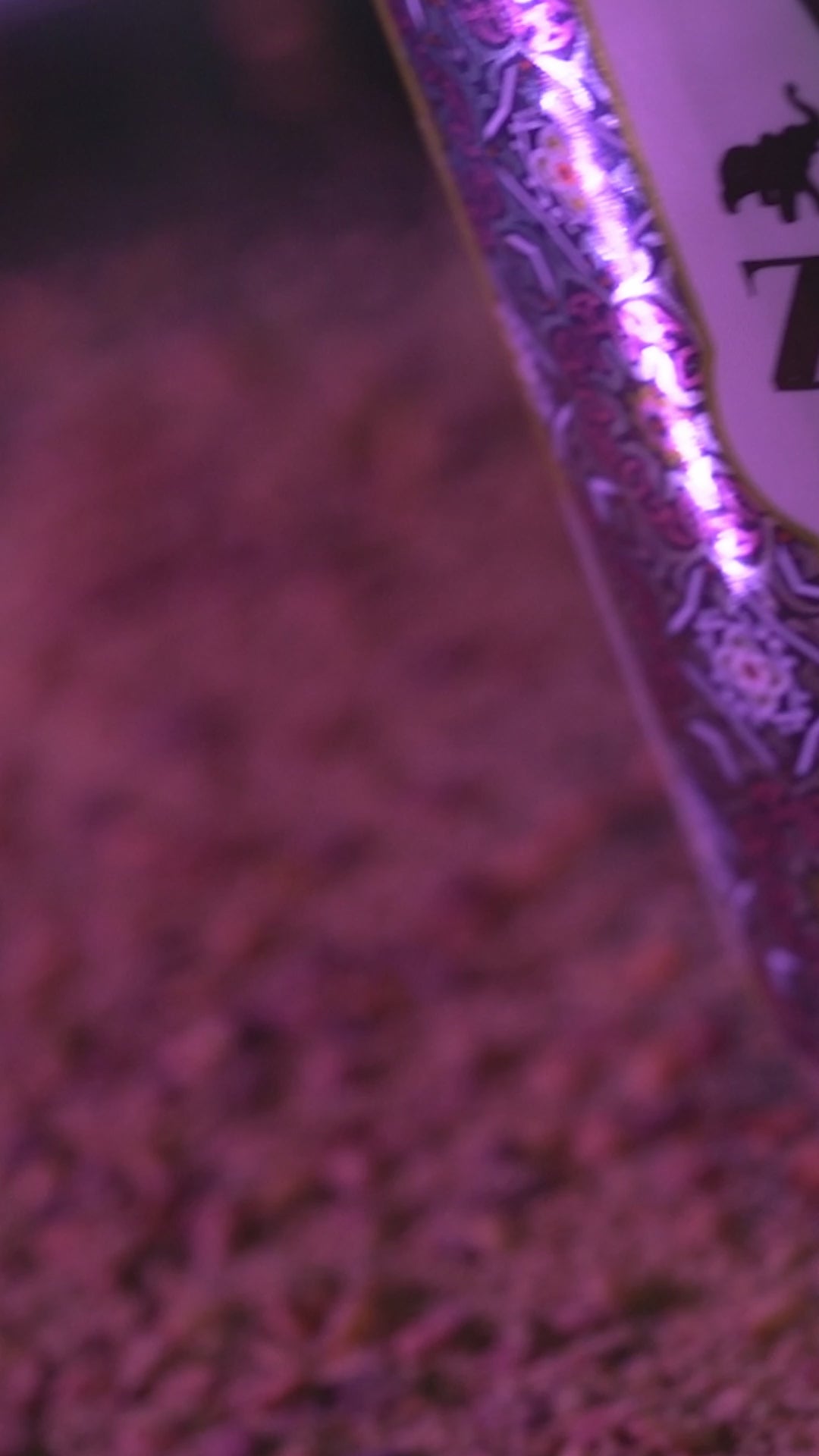 Urban Platter Zaatar Powder, | Middle Eastern Spice Blend | Herby, Tangy and Nutty | Use as a dry rub or sprinkler