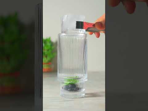 Urban Platter Ginger Lemon Syrup, 500ml (Refreshing | Tangy and Zesty | Sweetened)