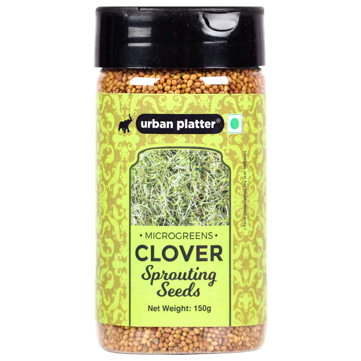 Urban Platter Microgreens Clover Sprouting Seeds Shaker Jar, 150g